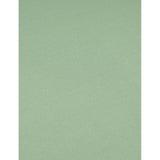 Neycko Menswear BV T-Shirt Deluxe, Nemo T-Shirts Mint Green